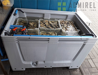 fish farming Admirel1